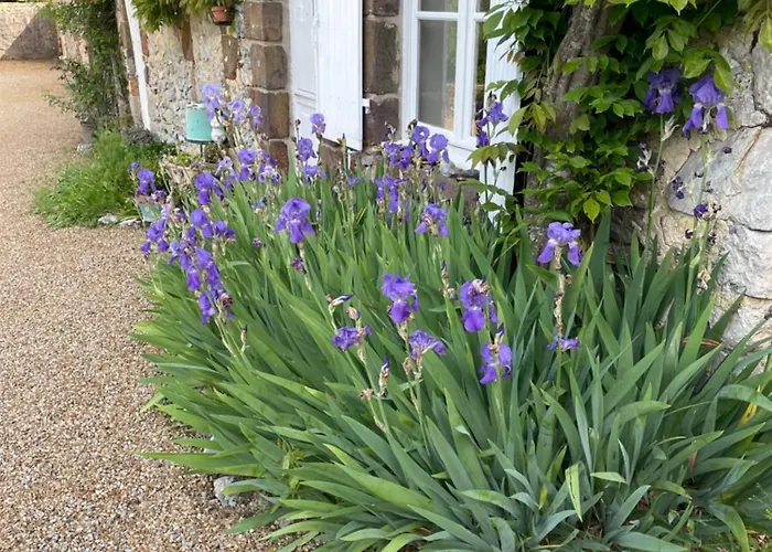 Le Clos De Paris Bed & Breakfast Fresnay-sur-Sarthe